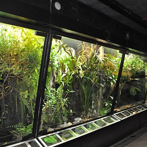 Biotope reptile terrarium