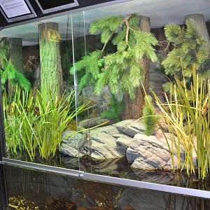 Biotope reptile terrarium