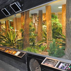 Biotope reptile terrarium