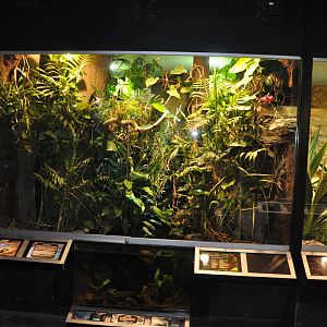 Biotope reptile terrarium