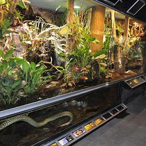 Biotope reptile terrarium