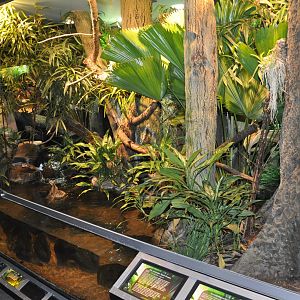 Biotope reptile terrarium