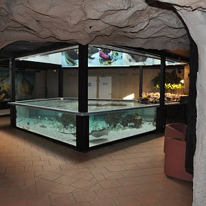 Ray-fish and Shark petting pool