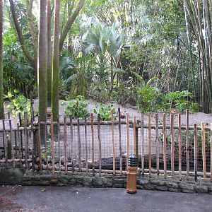 Oasis - Swamp Wallaby Exhibit