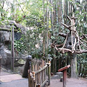 Oasis - Scarlet Macaw Exhibit