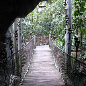 Oasis - Suspension Bridge