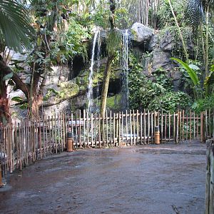 Oasis - Black-necked Swan, Rosybill Pochard, and Chiloe Wigeon Exhibit