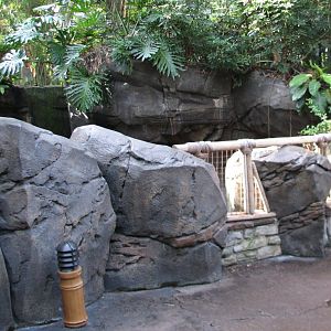 Oasis - Rhinoceros Iguana Exhibit