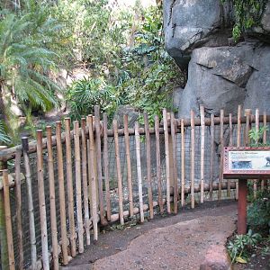 Oasis - Reeves Muntjac Exhibit