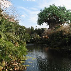 Discovery Island - Tree Of Life