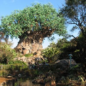 Discovery Island - Tree Of Life