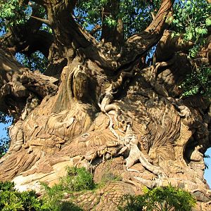 Discovery Island - Tree Of Life
