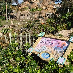 Discovery Island - Red Kangaroo and West African Crowned Crane Exhibit