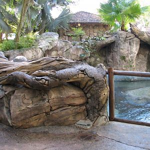 Discovery Island - Collared Lemur, Ring-tailed Lemur, and Coscoran Swan Exh