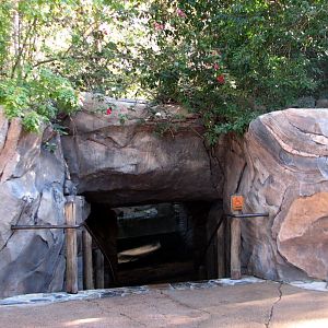 Discovery Island - Asian Small-clawed Otter Exhibit Viewing Cave