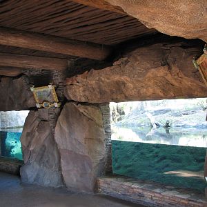 Discovery Island - Asian Small-clawed Otter Exhibit Viewing Cave