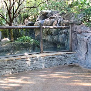 Discovery Island - Asian Small-clawed Otter Exhibit Viewing Area