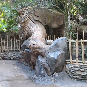 Discovery Island - Gapapagos Tortoise and Nene Goose Exhibit Viewing Area