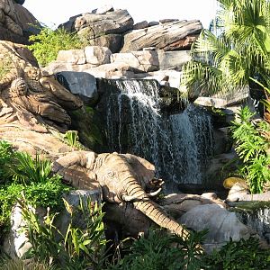 Discovery Island - Trail