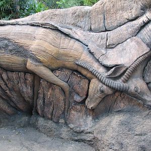 Discovery Island - Trail