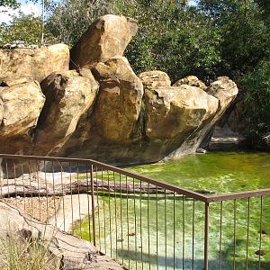 DinoLand U.S.A. - American Crocodile Exhibit
