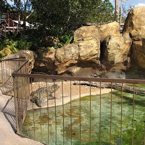 DinoLand U.S.A. - American Crocodile Exhibit