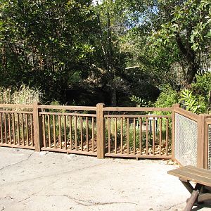 DinoLand U.S.A. - Asian Brown Tortoise and Abdims Stork Exhibit