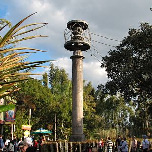 Asia - Siamang Exhibit