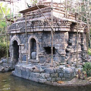 Asia - White-cheeked Gibbon Exhibit