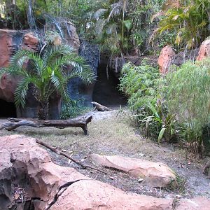 Maharajah Jungle Trek - Komodo Dragon Exhibit