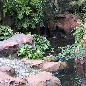 Maharajah Jungle Trek - Komodo Dragon Exhibit