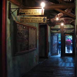 Maharajah Jungle Trek - Bat House Hallway