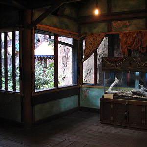 Maharajah Jungle Trek - Bat House Interior and Blood Python Exhibit