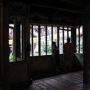 Maharajah Jungle Trek - Bat House Viewing Room