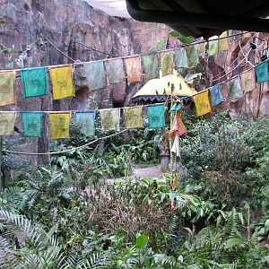 Maharajah Jungle Trek - Rodrigues Fruit Bat and Malayan Flying Fox Exhibit