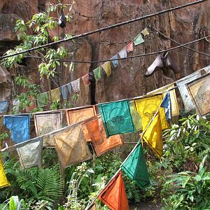 Maharajah Jungle Trek - Rodrigues Fruit Bat and Malayan Flying Fox Exhibit