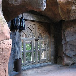 Maharajah Jungle Trek - Rodrigues Fruit Bat and Malayan Flying Fox Exhibit