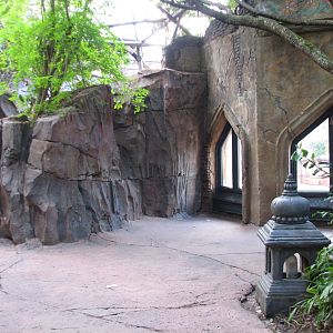 Maharajah Jungle Trek - First Tiger Exhibit Viewing Area