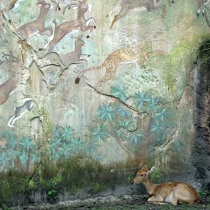 Maharajah Jungle Trek - Elds Deer