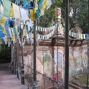 Maharajah Jungle Trek - Second Tiger Exhibit Viewing Bridge
