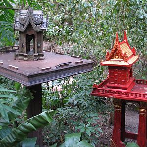 Maharajah Jungle Trek - Aviary