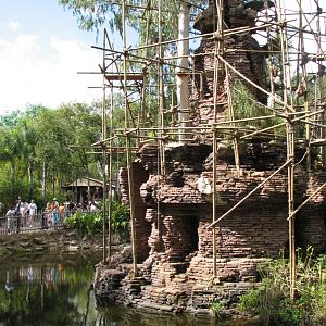 Asia - Siamang Exhibit