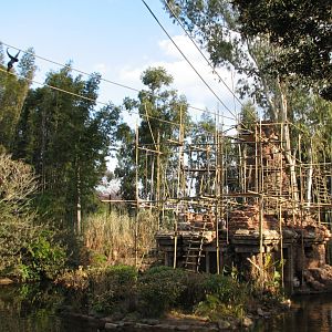 Asia - Siamang Exhibit
