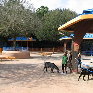 Rafikis Planet Watch - Affection Section