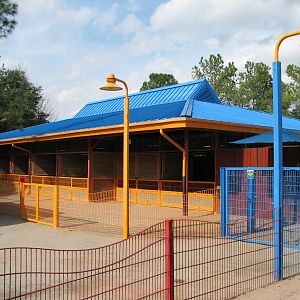 Rafikis Planet Watch - Affection Section