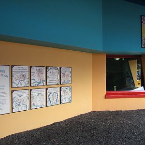 Rafikis Planet Watch - Conservation Station - Asian Water Monitor Exhibit