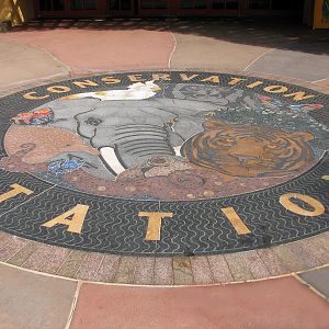 Rafikis Planet Watch - Conservation Station - Entry Mosaic