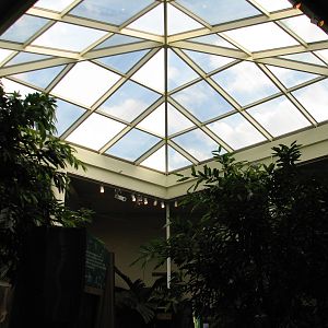 Rafikis Planet Watch - Conservation Station - Atrium