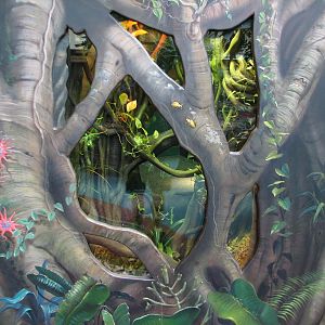 Rafikis Planet Watch - Conservation Station - Song of the Rainforest - Gree