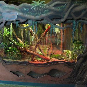 Rafikis Planet Watch - Conservation Station - Song of the Rainforest - Red-